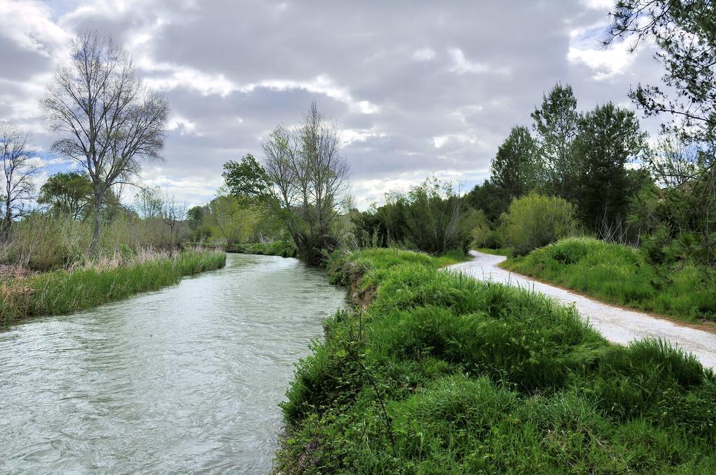 Muralleta